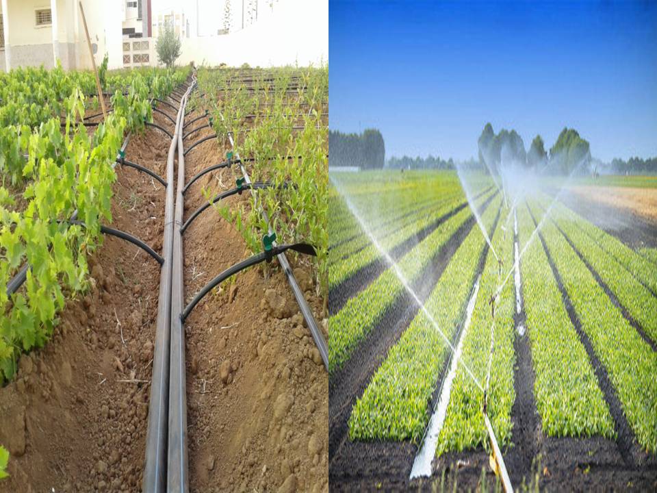 SCI1401 IRRIGATION ENGINEERING இன் சுருக்கம்